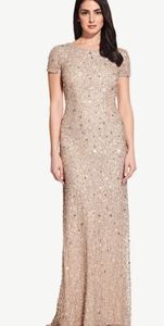 STUNNING Adrianna Papell Gown